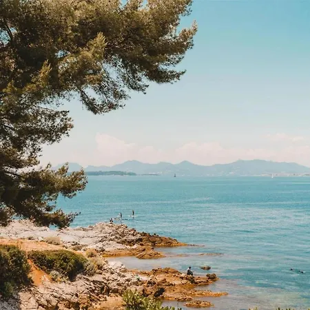 Seasons Suite Antibes Centre 아파트 *